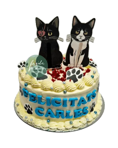 angela-moreno-reposteria-cafe-Barcelona_tarta-de-dos-gatos-dibujo-digital-personalizado,-pastel-diseño-personal